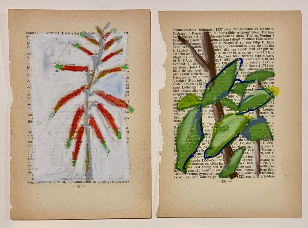 Hortus, vetkrijt, oude boekbladzijde , 2022